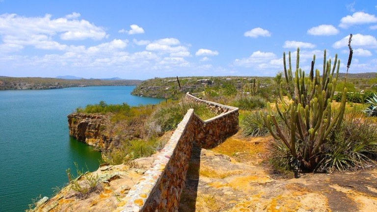 Paisagem típica da vegetação de caatinga no sertão sergipano..jpg